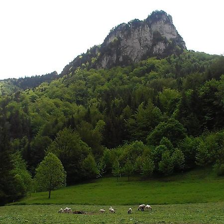 Drevenica U Michala Villa Terchova Luaran gambar